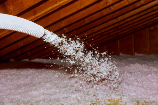Best Geographic-Specific Insulation Services in Occidental, CA