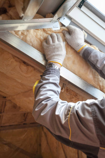Best Insulation Maintenance and Repair in Occidental, CA