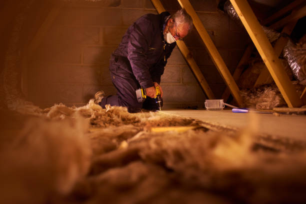 Best Blown-in Insulation in Occidental, CA